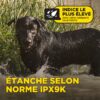 1200X 1-Dog Unit ( 1900X ) + HANDSFREE SQUARE