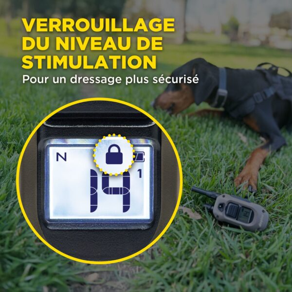 1200X 1-Dog Unit ( 1900X ) + HANDSFREE SQUARE