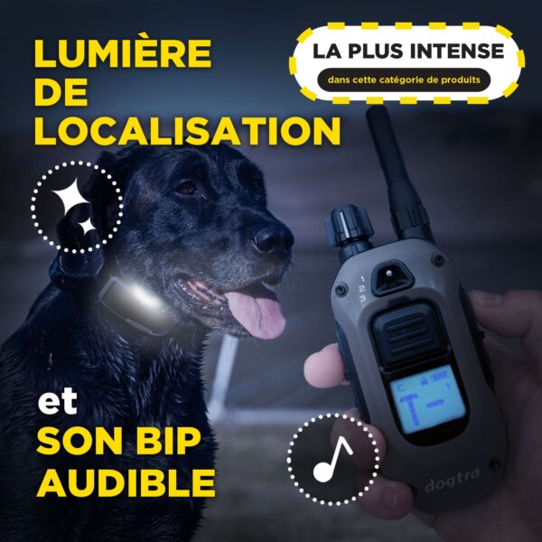 1200X 1-Dog Unit ( 1900X ) + HANDSFREE SQUARE