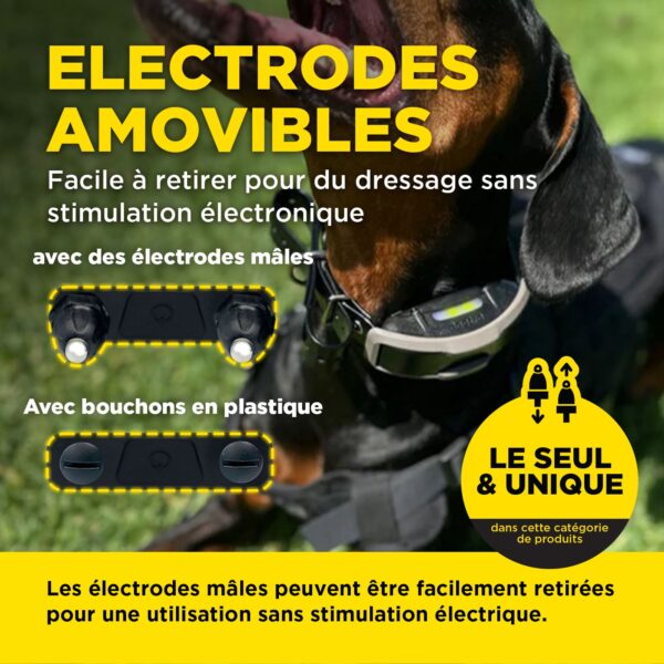 1200X 1-Dog Unit ( 1900X ) + HANDSFREE SQUARE