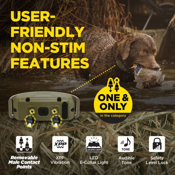 1200X CAMO 1-Dog Unit ( 1900X CAMO ) version EU