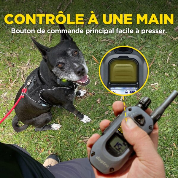 640X - ( 280X ) 2-Dog Unit
