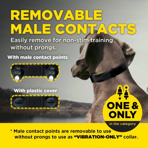 ARC-X Kit 1- Dog Unit + Handsfree Square