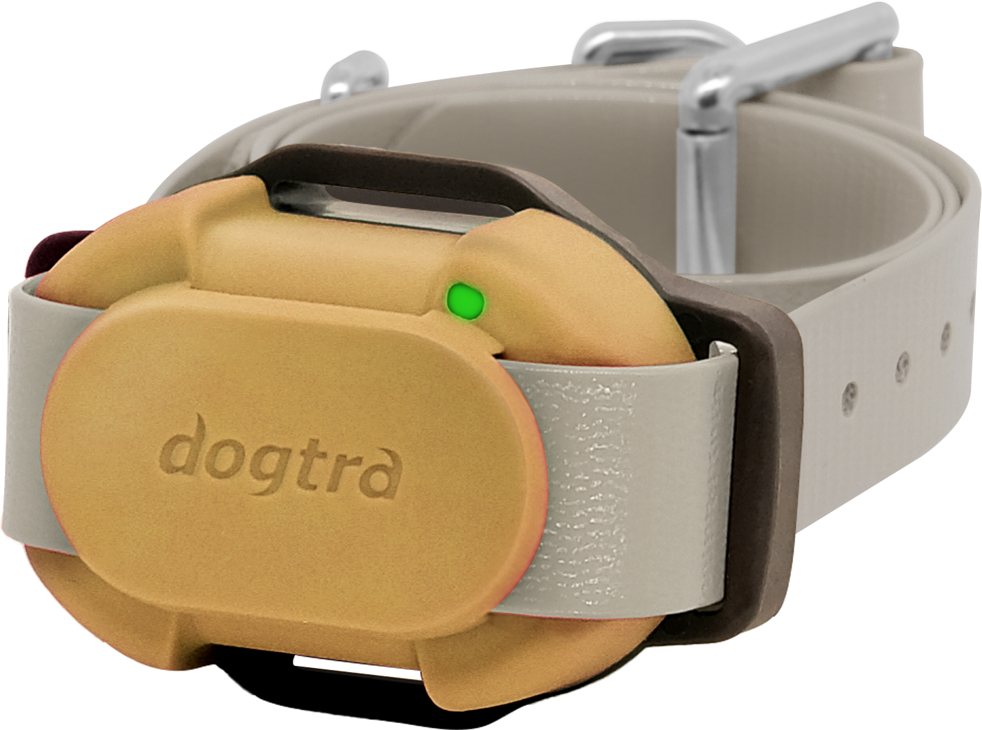 Dodatna ovratnica za Dogtra iQ FLEX