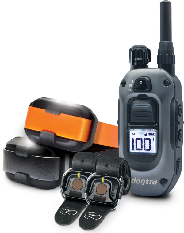640X - ( 280X ) 2-Dog Unit + (2) HANDSFREE SQUARES